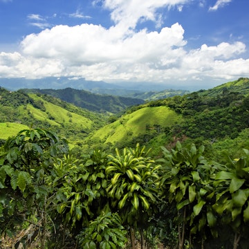 Costa Rica mountains and hillside was amazing.  view into valley was unbelievable. It was so much green for miles, and miles. cloud formation.